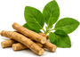 Ashwagandha Root Powder
