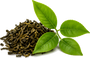 Green Tea Extract