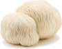 Lion's Mane Mushroom