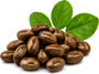 Mucuna Pruriens Extract